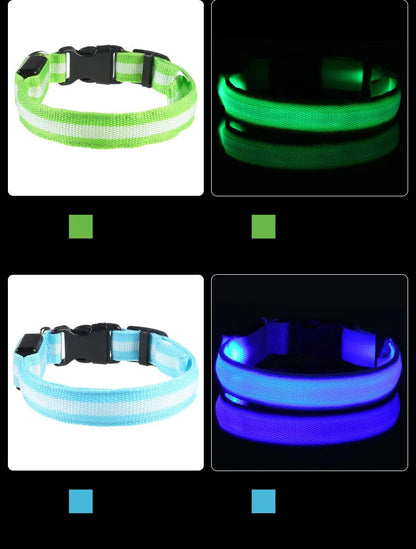 GlowGuard LED Dog Collar