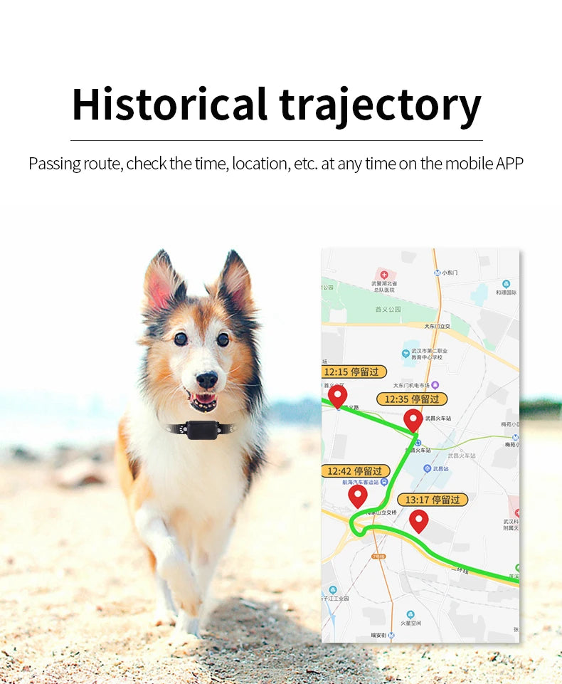 Waterproof GPS Pet Tracker Collar – Adjustable, Real-Time Location, Remote Tracking for Dogs & Cats