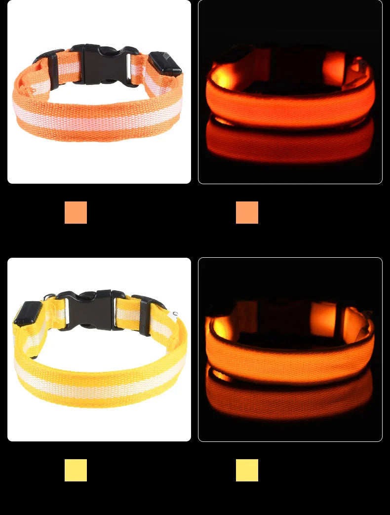 GlowGuard LED Dog Collar