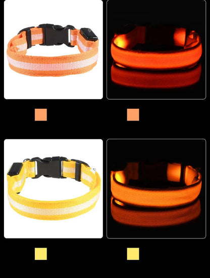 GlowGuard LED Dog Collar