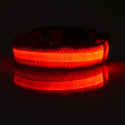 GlowGuard LED Dog Collar