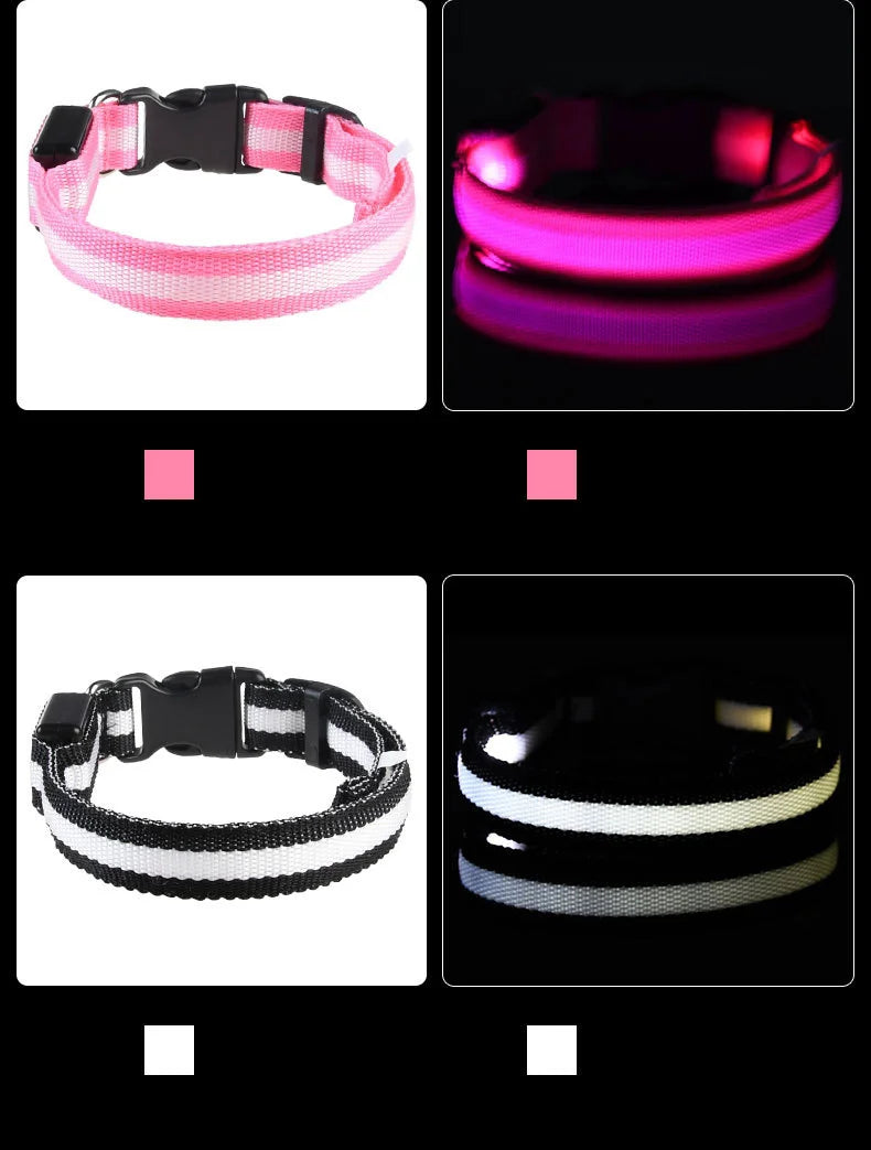 GlowGuard LED Dog Collar