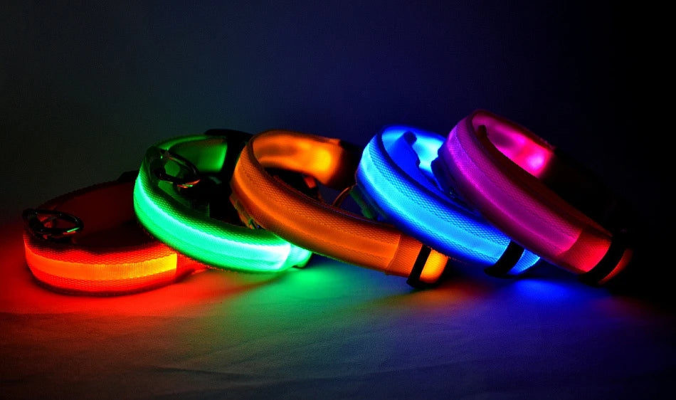 GlowGuard LED Dog Collar