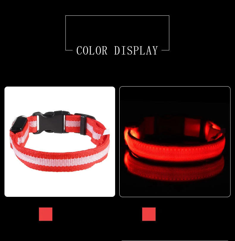 GlowGuard LED Dog Collar